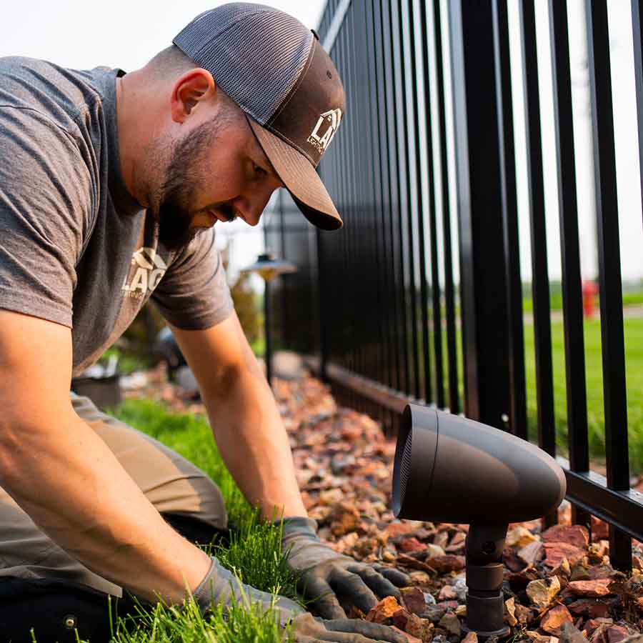 Professional landscape lighting installation